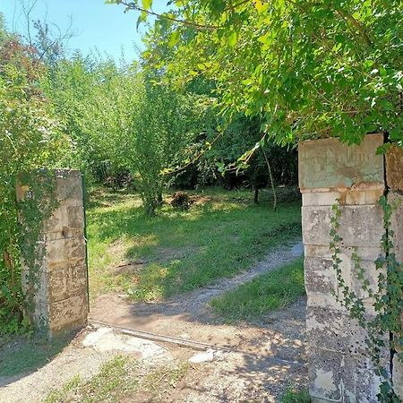 La Colline Aux Oiseaux, La Tranquillite Des Bois Villa Molieres-sur-Ceze Kültér fotó