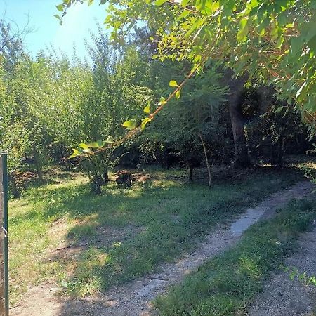 La Colline Aux Oiseaux, La Tranquillite Des Bois Villa Molieres-sur-Ceze Kültér fotó