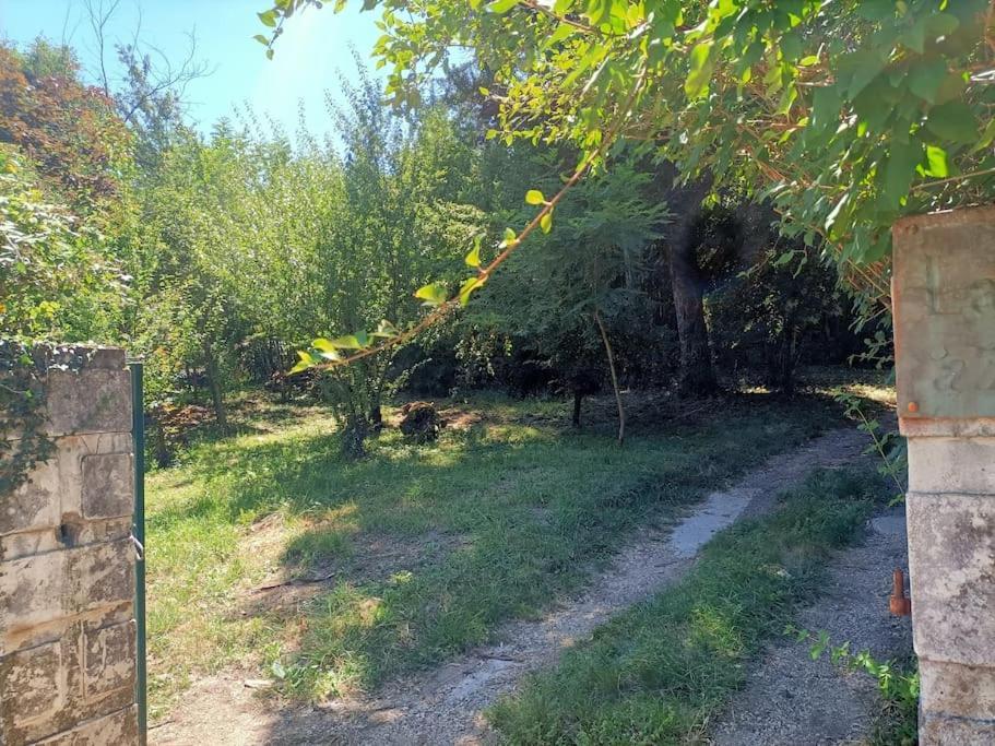 La Colline Aux Oiseaux, La Tranquillite Des Bois Villa Molieres-sur-Ceze Kültér fotó