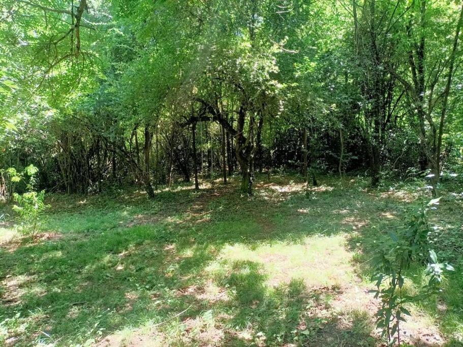 La Colline Aux Oiseaux, La Tranquillite Des Bois Villa Molieres-sur-Ceze Kültér fotó